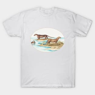 Two Otters and a Beaver (1575–1580) T-Shirt